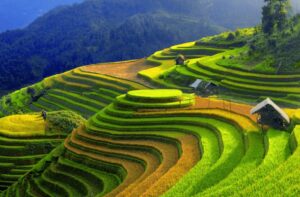 Sáp nhập xã tỉnh Yên Bái